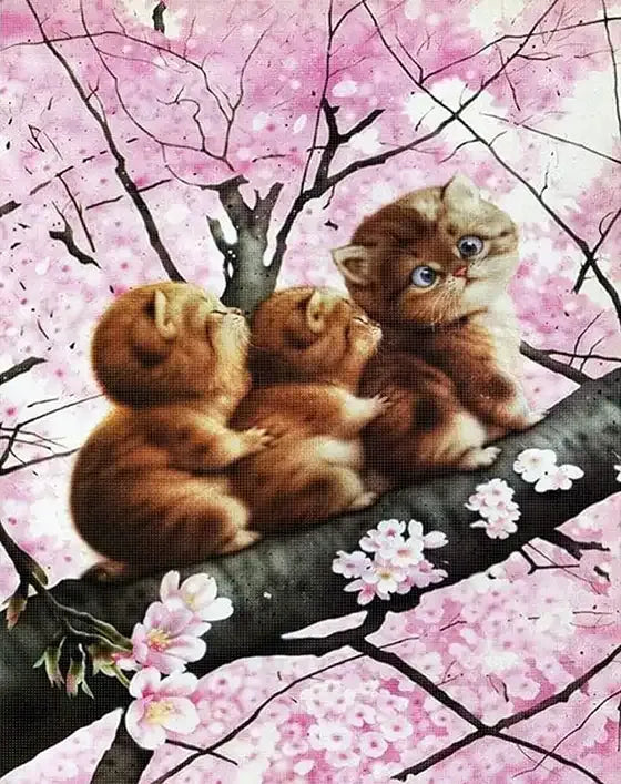 Three Cats