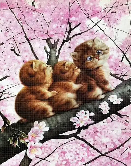 Three Cats