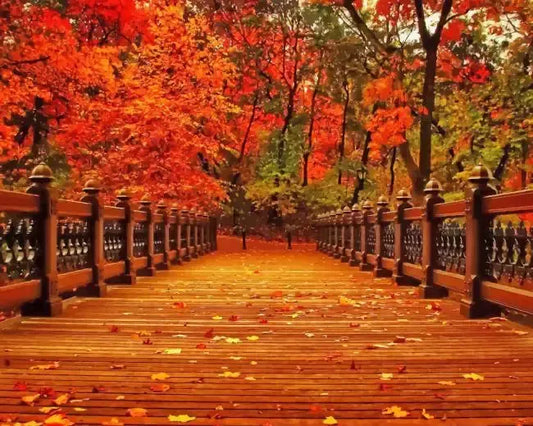 Nature Fall