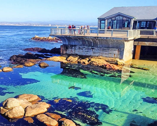 Monterey bay aquarium