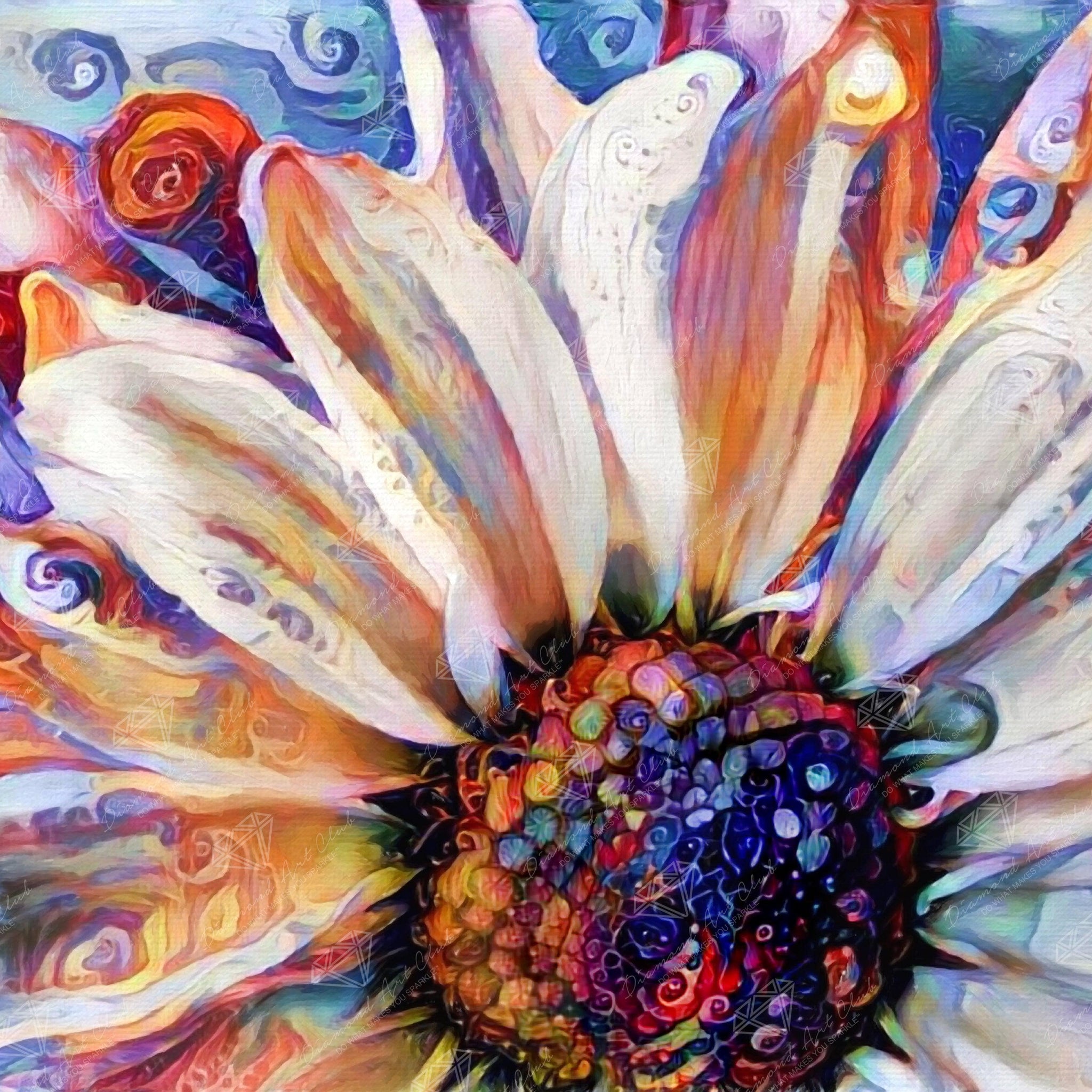 Daisy Love