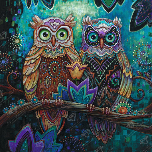 Side By Side Owl